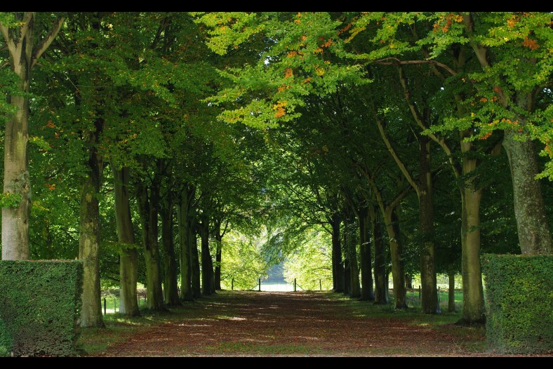 Allée au tout début de l'automne